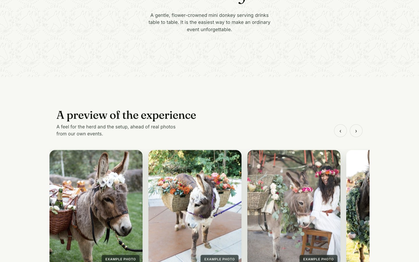 Wildbrook Beverage Burros homepage scrolled desktop